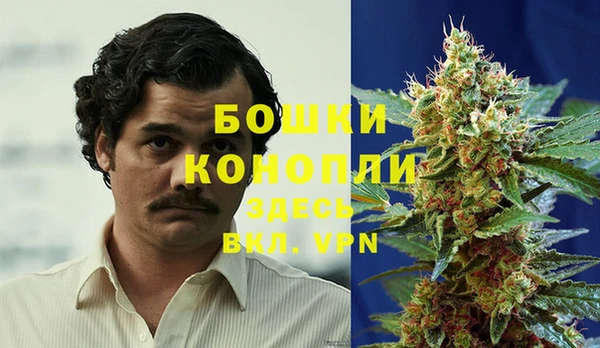 ГАЛЛЮЦИНОГЕННЫЕ ГРИБЫ Надым