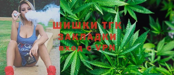 ГАЛЛЮЦИНОГЕННЫЕ ГРИБЫ Надым