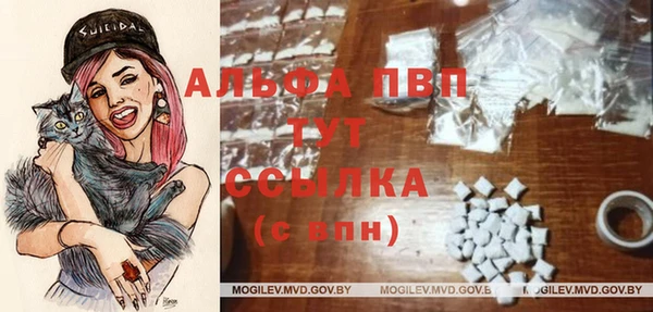 ГАЛЛЮЦИНОГЕННЫЕ ГРИБЫ Надым