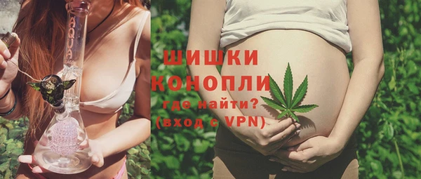 ГАЛЛЮЦИНОГЕННЫЕ ГРИБЫ Надым