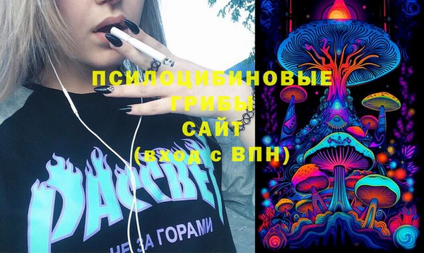 ГАЛЛЮЦИНОГЕННЫЕ ГРИБЫ Надым